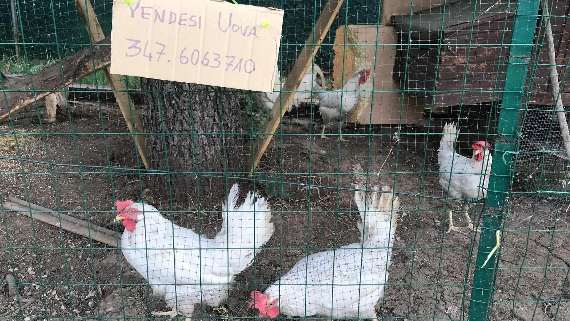 Casale Monte Del Gatto Villa Rome Holiday home
